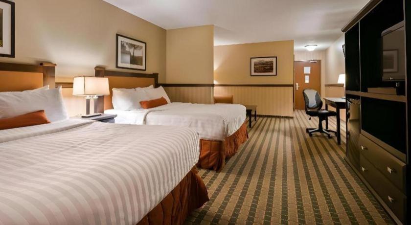 Best Western Diamond Inn Three Hills Esterno foto