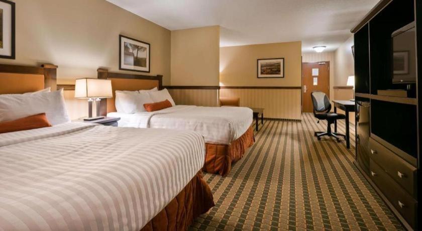 Best Western Diamond Inn Three Hills Esterno foto